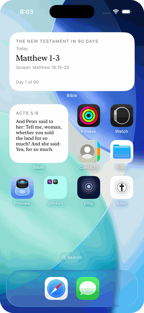 An iPhone home screen with two widgets from the app: the verse of the day, and today's reading from a reading plan.